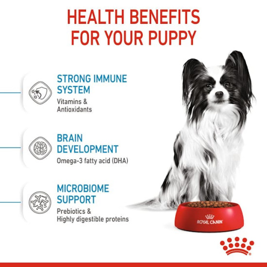 Royal Canin Yorkshire Terrier Puppy – Hrană Uscată pentru Pui de Câine din Rasa Yorkshire Terrier – 500 g